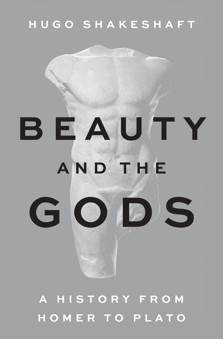 Cover image for Beauty and the Gods ISBN 9780691250205
